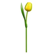 Typisch Hollands Gelbe Tulpe aus Holz