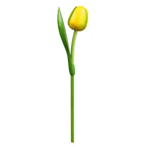 Typisch Hollands Gele Houten Tulp