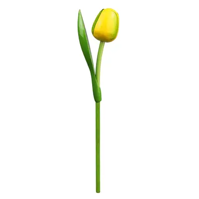 Typisch Hollands Gele Houten Tulp