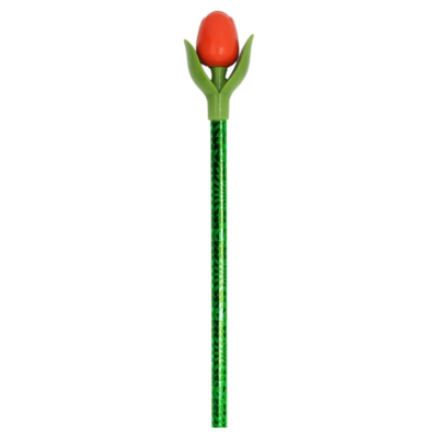 Typisch Hollands Tulpenstift Rot mit Blatt