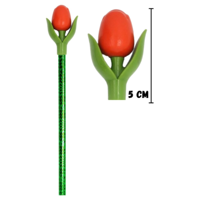 Typisch Hollands Tulip Pencil Red with leaf