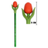 Typisch Hollands Tulip Pencil Red with leaf