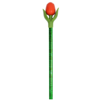 Nijhuis  Tulpenstift Rot mit Blatt