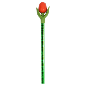Nijhuis  Tulp Potlood oranje  met blad