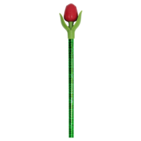 Typisch Hollands Tulip Pencil red with leaf