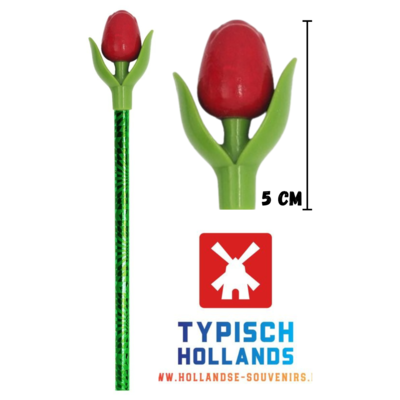 Typisch Hollands Tulpenstift rot mit Blatt