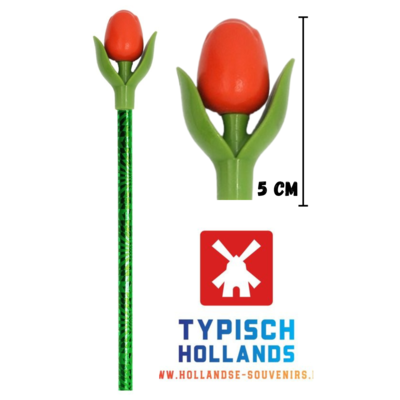 Typisch Hollands Tulp Potlood oranje  met blad