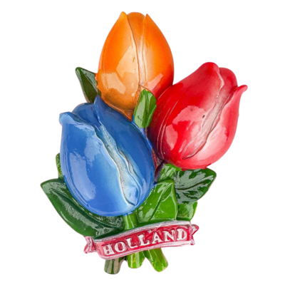 Matix Magnet 3D Tulpen Holland – rot-blau-orange