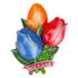 Typisch Hollands Magnet 3D Tulpen Holland – rot-blau-orange