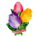 Typisch Hollands Magnet 3D Tulpen Holland – violett-rosa-gelb