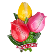 Typisch Hollands Magneet 3d tulpen Holland– rood-roze-geel