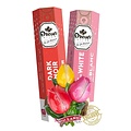Droste Droste gift set 2 rolls - with tulip magnet - pure and milk/white