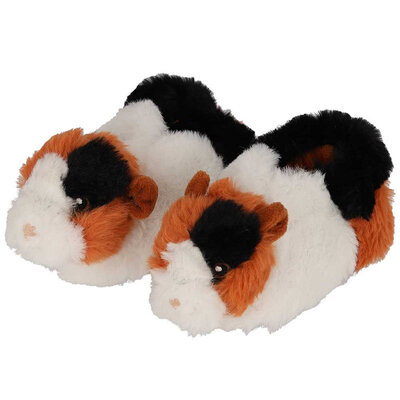 Typisch Hollands Baby slofjes- Cavia