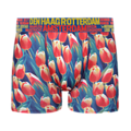 Typisch Hollands Boxer shorts - Tulips - Amsterdam - and major cities
