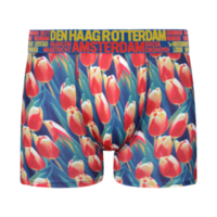 Typisch Hollands Boxershorts - Tulpen - Amsterdam - und Großstädte