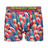 Typisch Hollands Boxershorts - Tulpen - Amsterdam - und Großstädte