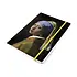 Museumgifts Holland Softcover notebook, A5, the girl with the pearl