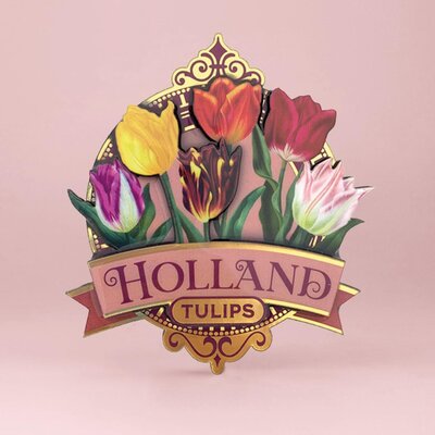 Typisch Hollands Magnet Holland - Tulips - Pink (pretty tulips)