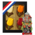 Typisch Hollands Schokoladentulpen – Schachtel mit magnetischem Haus – Tulpenshop