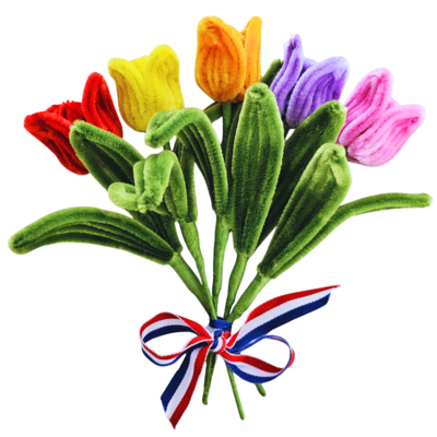 Typisch Hollands Tulpenboeketje - Chenille in geschenkfolie
