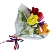 Typisch Hollands Tulpenboeketje - Chenille in geschenkfolie