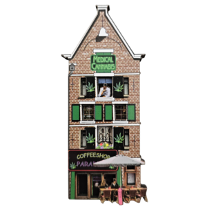 Typisch Hollands Magneet - Amsterdam - Gevelhuisje 3D Coffeeshop