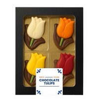 Typisch Hollands Chocolade Tulpen doosje 60 Gram