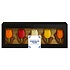 Typisch Hollands Chocolade Tulpen doosje 150 Gram - 10 tulpen