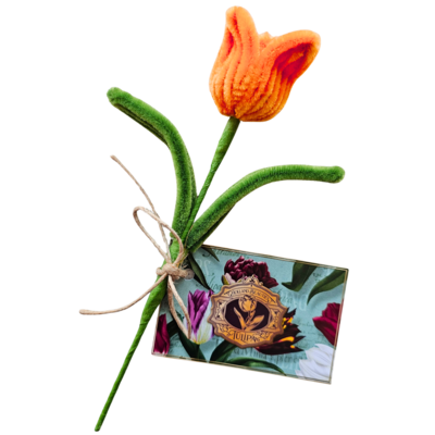 Typisch Hollands Add card with tulip to order.