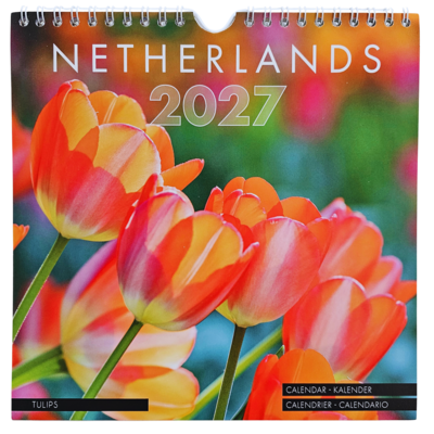Typisch Hollands Wall calendar 2027: Holland Tulips – 20x20 cm