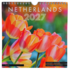 Typisch Hollands Wall calendar 2027: Holland Tulips – 20x20 cm