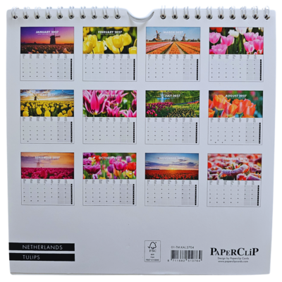 Typisch Hollands Wandkalender 2027: Holland Tulpen – 20x20 cm