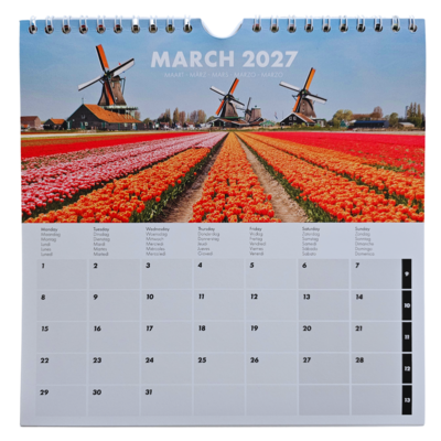 Typisch Hollands Wall calendar 2027: Holland Tulips – 20x20 cm