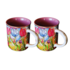 Ter Steege souvenirs Geschenkset mit 2 Kaffeetassen – bunte Tulpen – Rick Triest