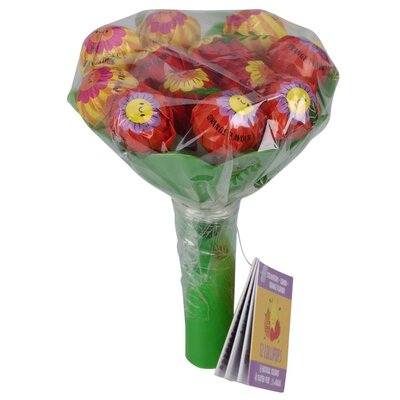 Becky`s Lutscherstrauß mit 12 Fruchtlutschern (Grün)