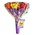 Becky`s Lolly Boeket met 12 Fruitlolly's (Paars)