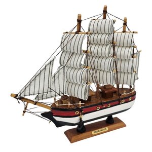 Typisch Hollands Driemaster Endavour 33 cm