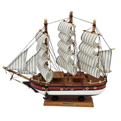 Typisch Hollands Driemaster Endavour 33cm