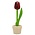 Nijhuis  Small tulip in small pot, red, 14 cm