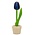 Nijhuis  Kleine tulp in potje blauw 14 cm