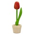 Nijhuis  Kleine tulp in potje oranje 14 cm