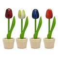 Nijhuis  Houten tulpen in potje 4 stuks in rood-wit-blauw en oranje