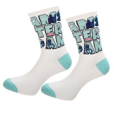 Robin Ruth Damensocken Amsterdam - Weiß-blau Größe 36-41