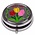Matix Pill box - Holland - Tulips - Copy