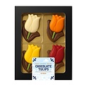 Typisch Hollands Chocolade Tulpen doosje 60 Gram
