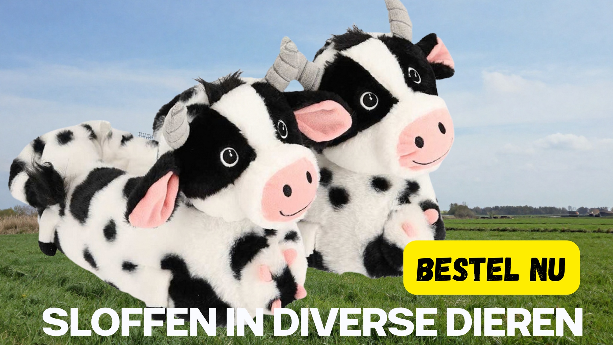 Typisch Hollands Giftshop | 7.500+ Souvenirs & Relatiegeschenken banner 3