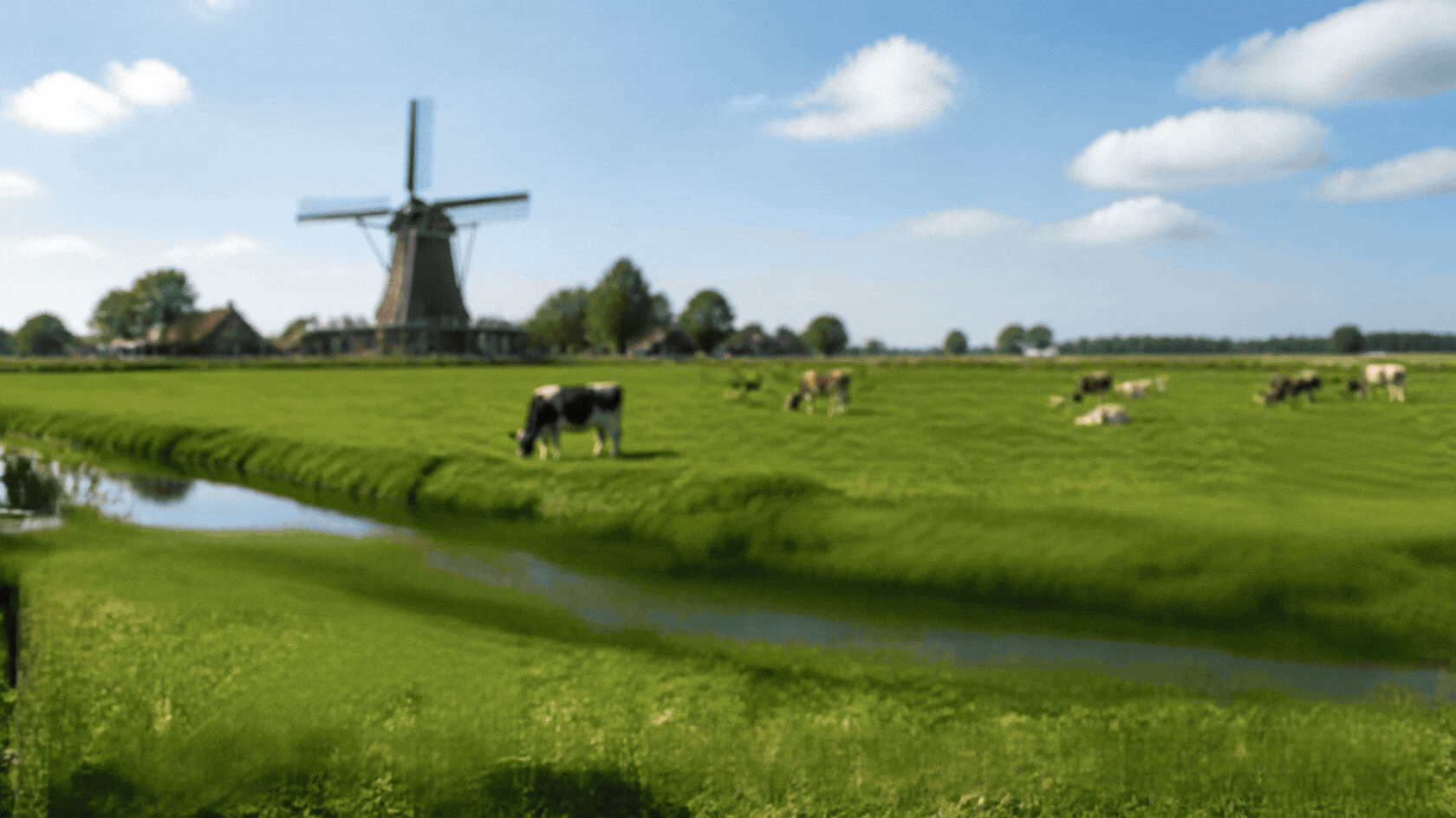 Typisch Hollands Giftshop | 7.500+ Souvenirs & Relatiegeschenken banner 3