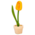 Nijhuis  Grote  tulp in pot geel 20 cm