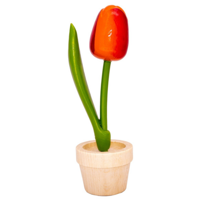 Nijhuis  Large orange potted tulip 14 cm