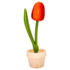 Nijhuis  Große orangefarbene Topftulpe, 14 cm